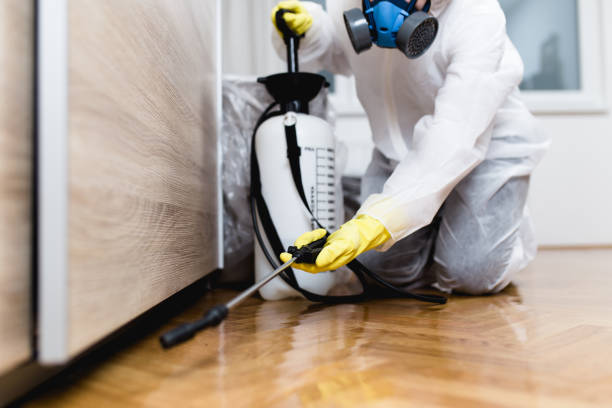 Best Pest Removal Services  in Plainfield Village, CT