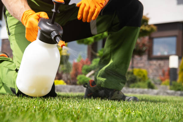 Best Cockroach Control Services  in Plainfield Village, CT