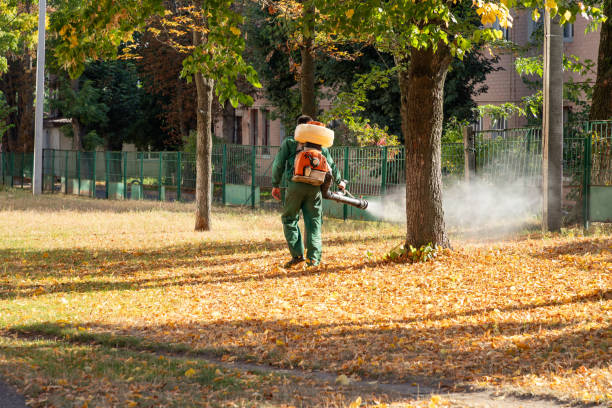 Trusted Plainfield Village, CT Pest Control Experts